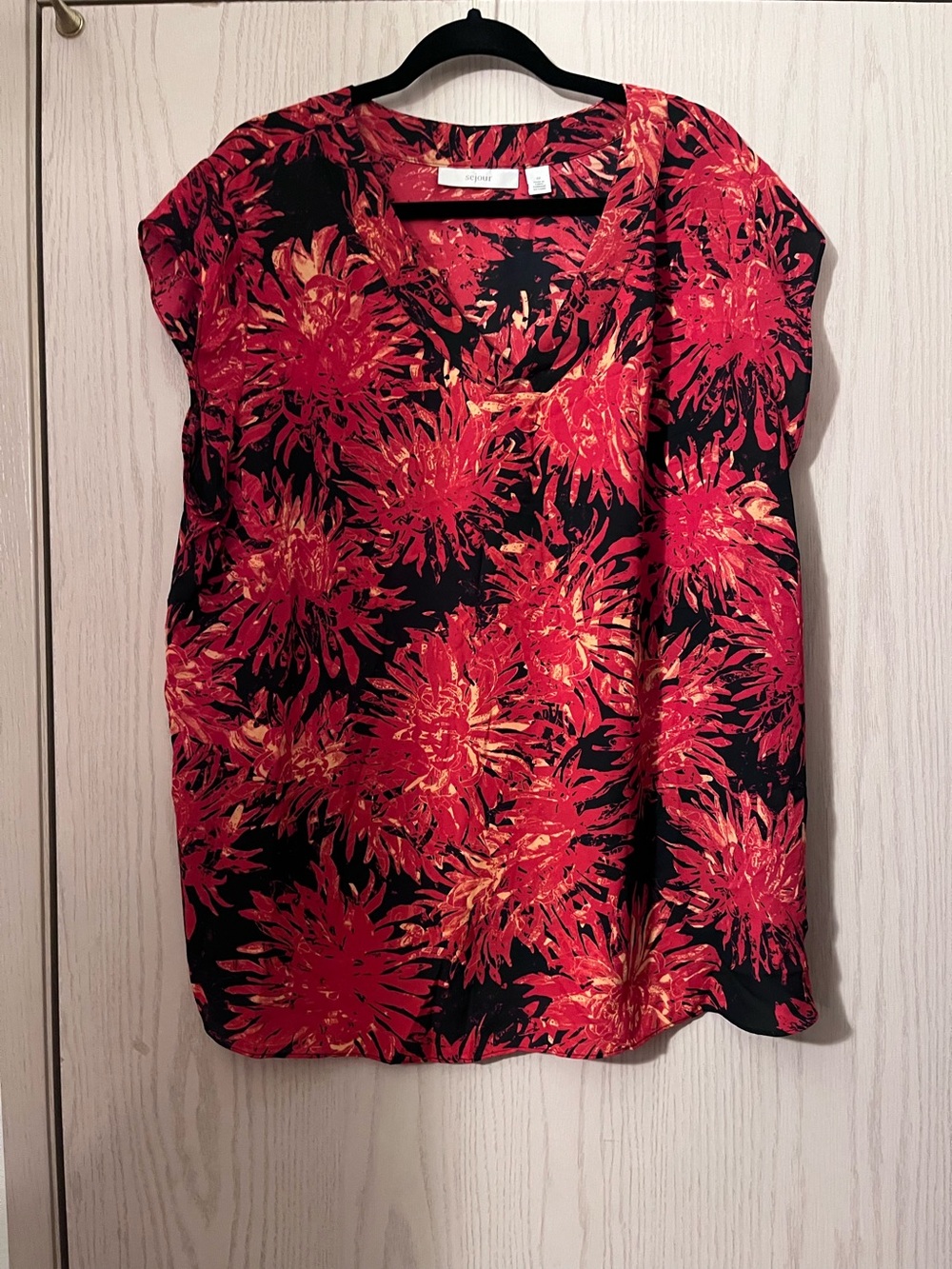 Sejour Black Sleeveless V-Neck Top with Red and Gold Floral Print